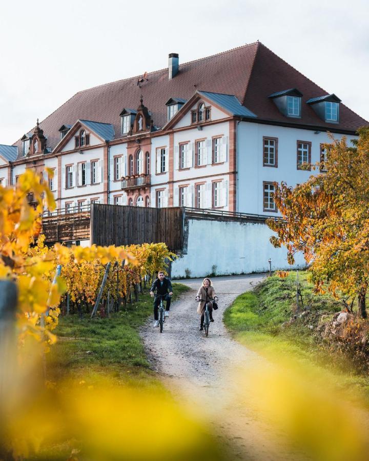 Hotel Val-Vignes Colmar Haut-Koenigsbourg, The Originals Relais Saint-Hippolyte  Luaran gambar